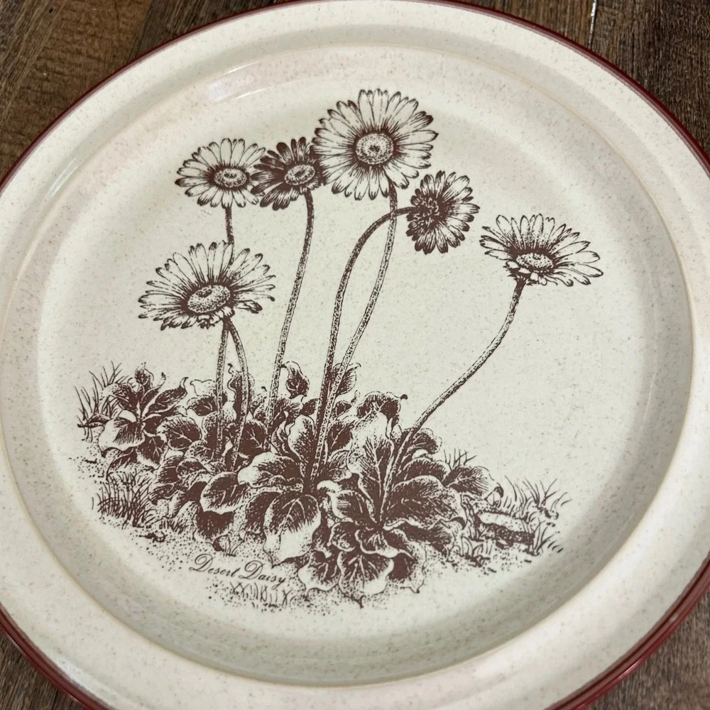 Noritake Desert Flowers Stoneware Salad Plates Set of 4 Brown Daisy S 321 Japan‎